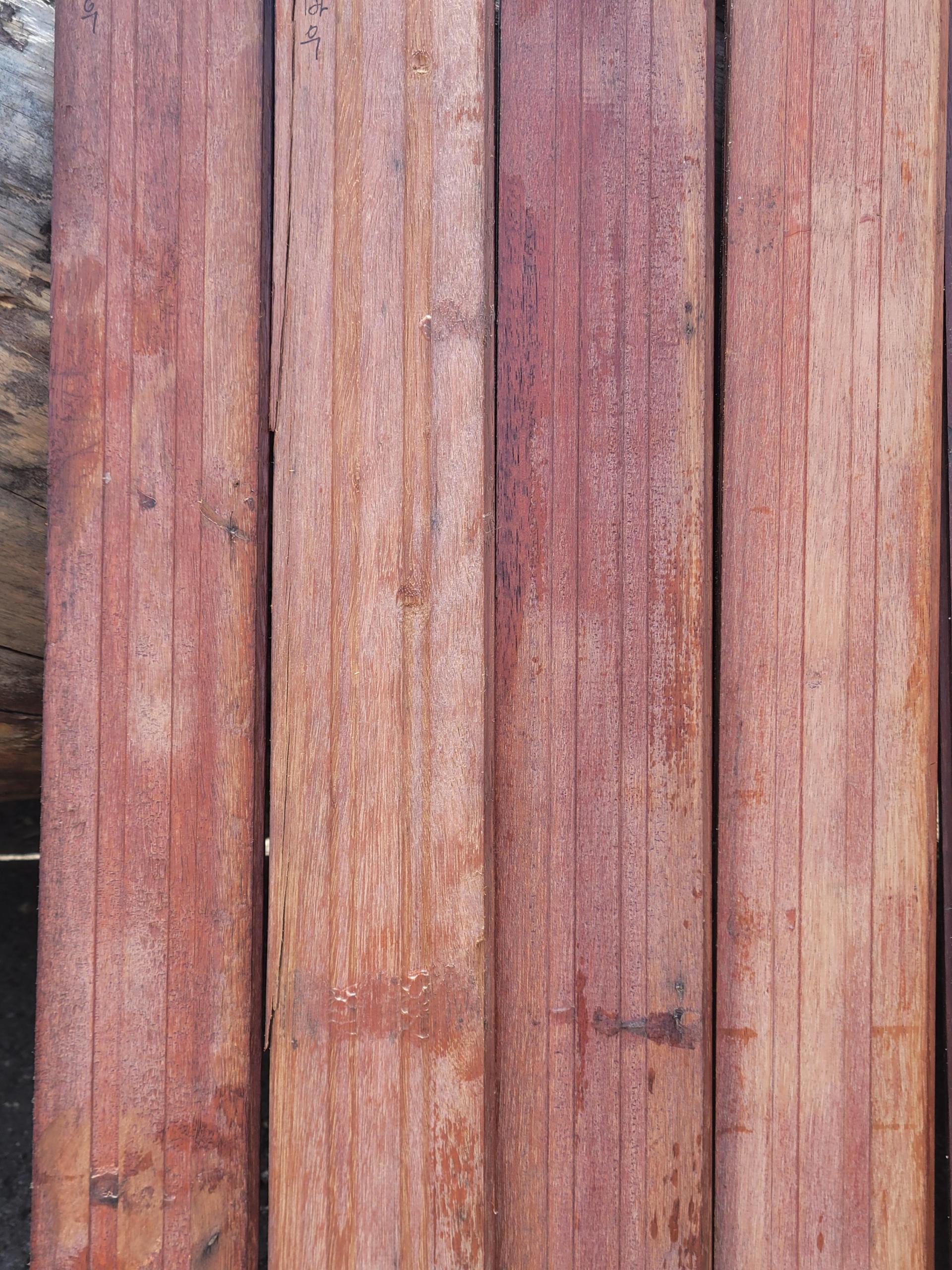 b51829a9be57d.jpg
