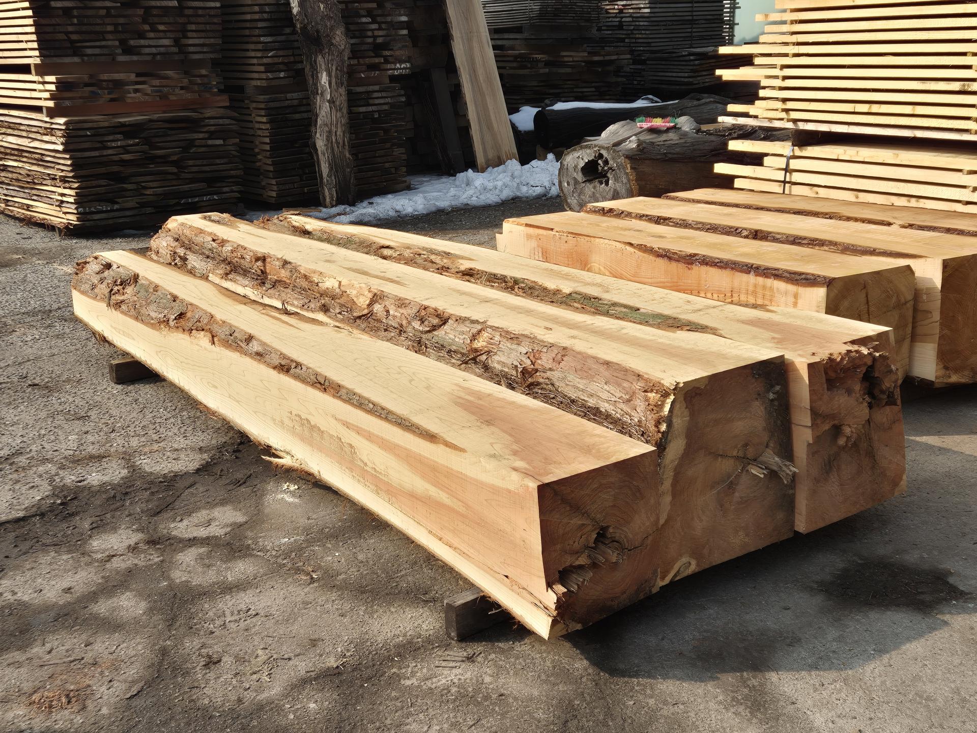 cb308fd177e61.jpg