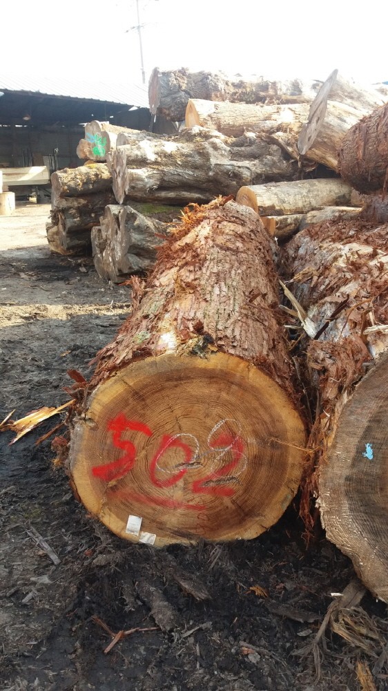 f85cb5cf7cccb.jpg