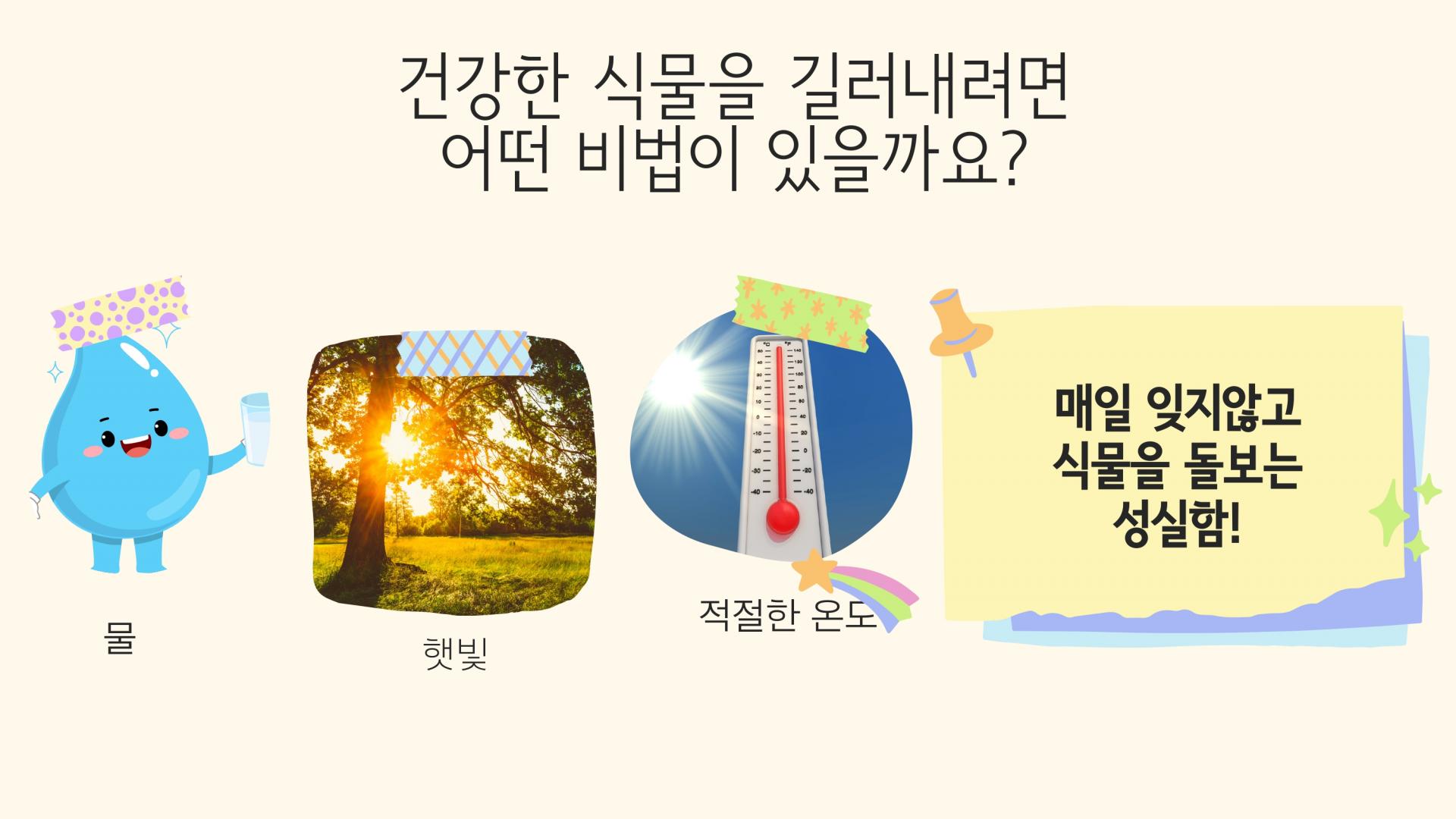 c778c0ae40671.jpg