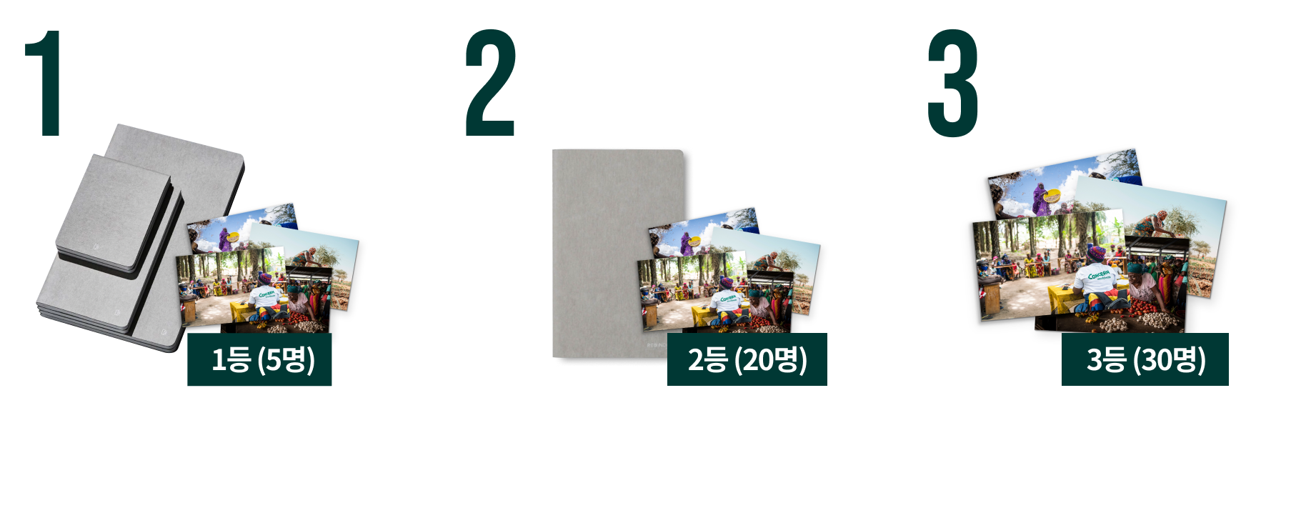 특별한 선물 모음