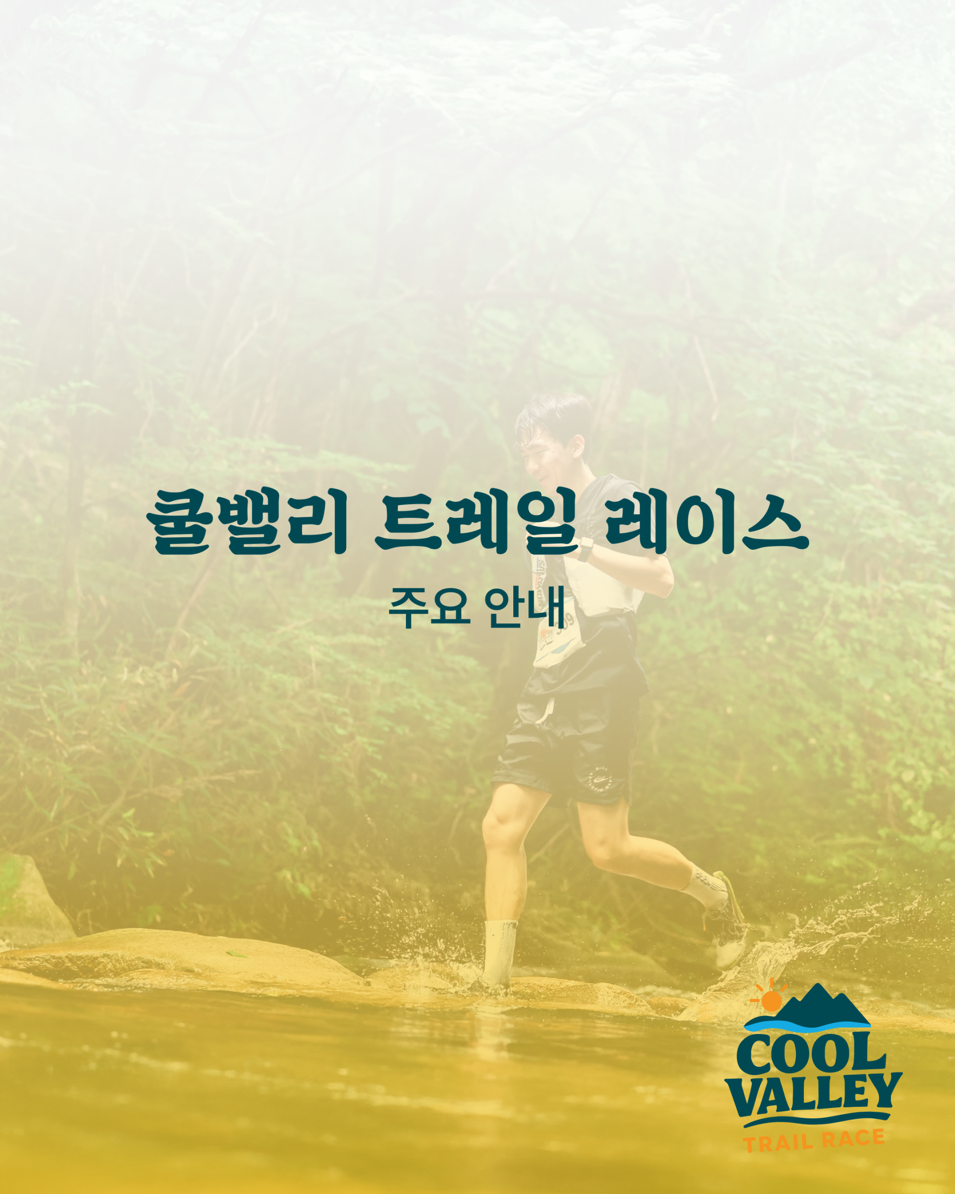e3360a95a50e8.png