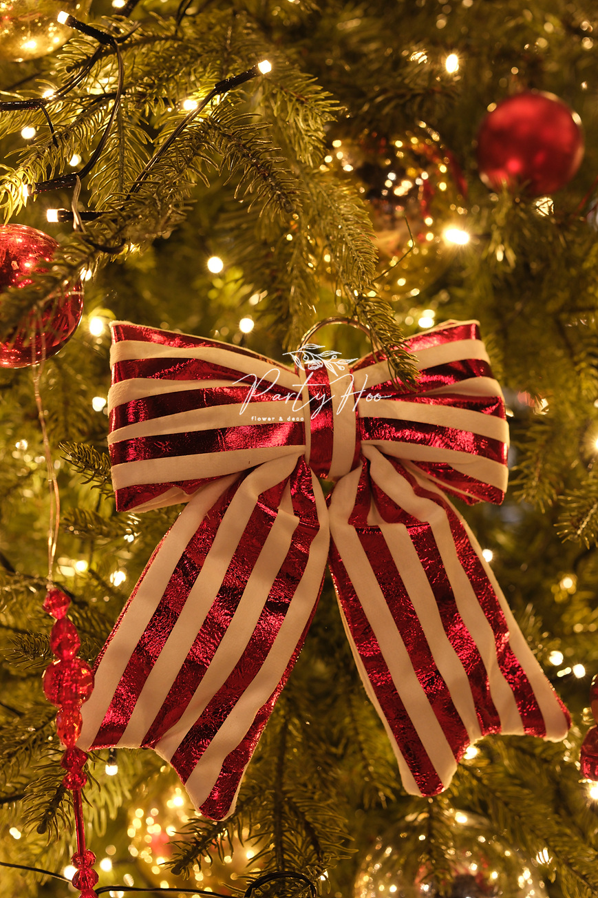 카페 3미터 레드트리 : PORTFOLIO