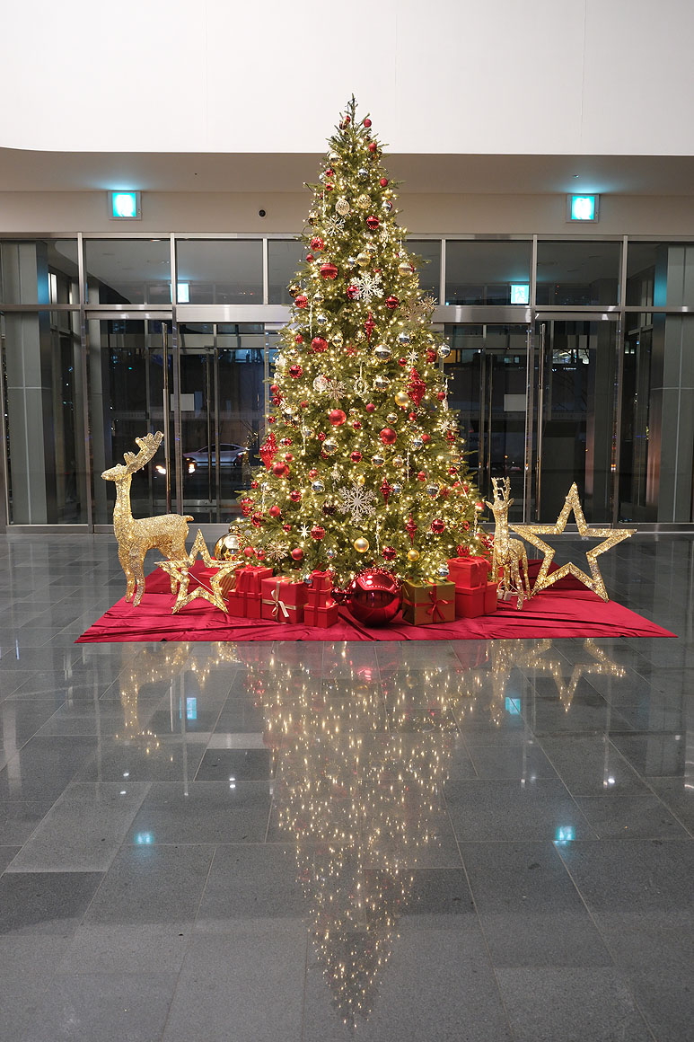 메디포스트 3.6m 크리스마스트리 대여 : 크리스마스