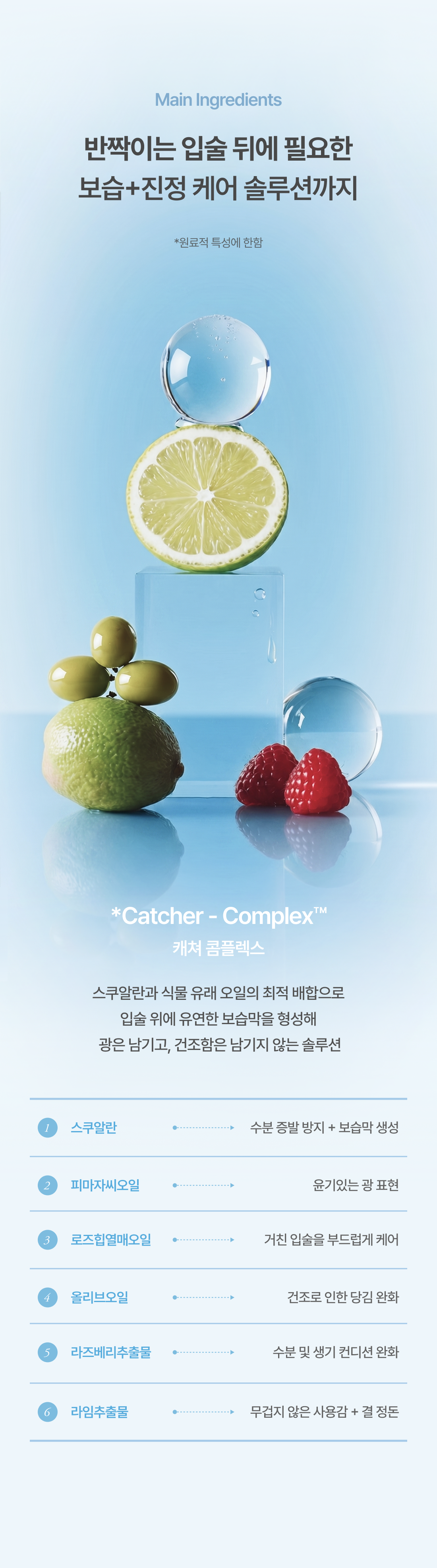 데일리칩스 카밍 글로우 립 캐쳐