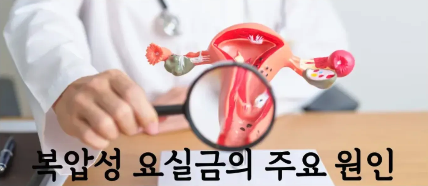 복압성요실금 요실금수술 요실금