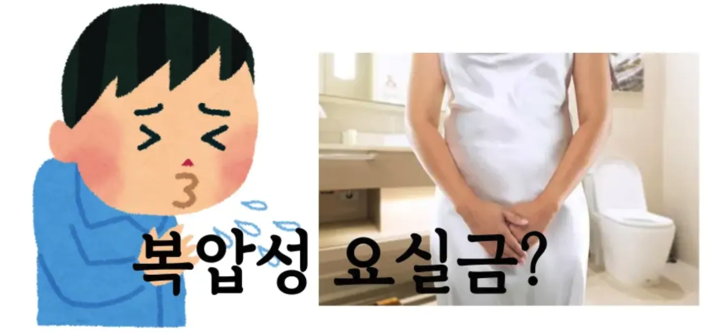 복압성요실금 요실금수술 요실금