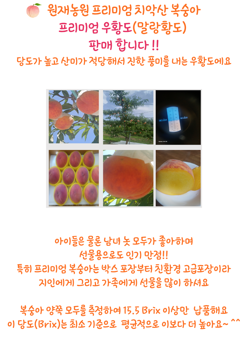 프리미엄 우황도 (말랑황도)