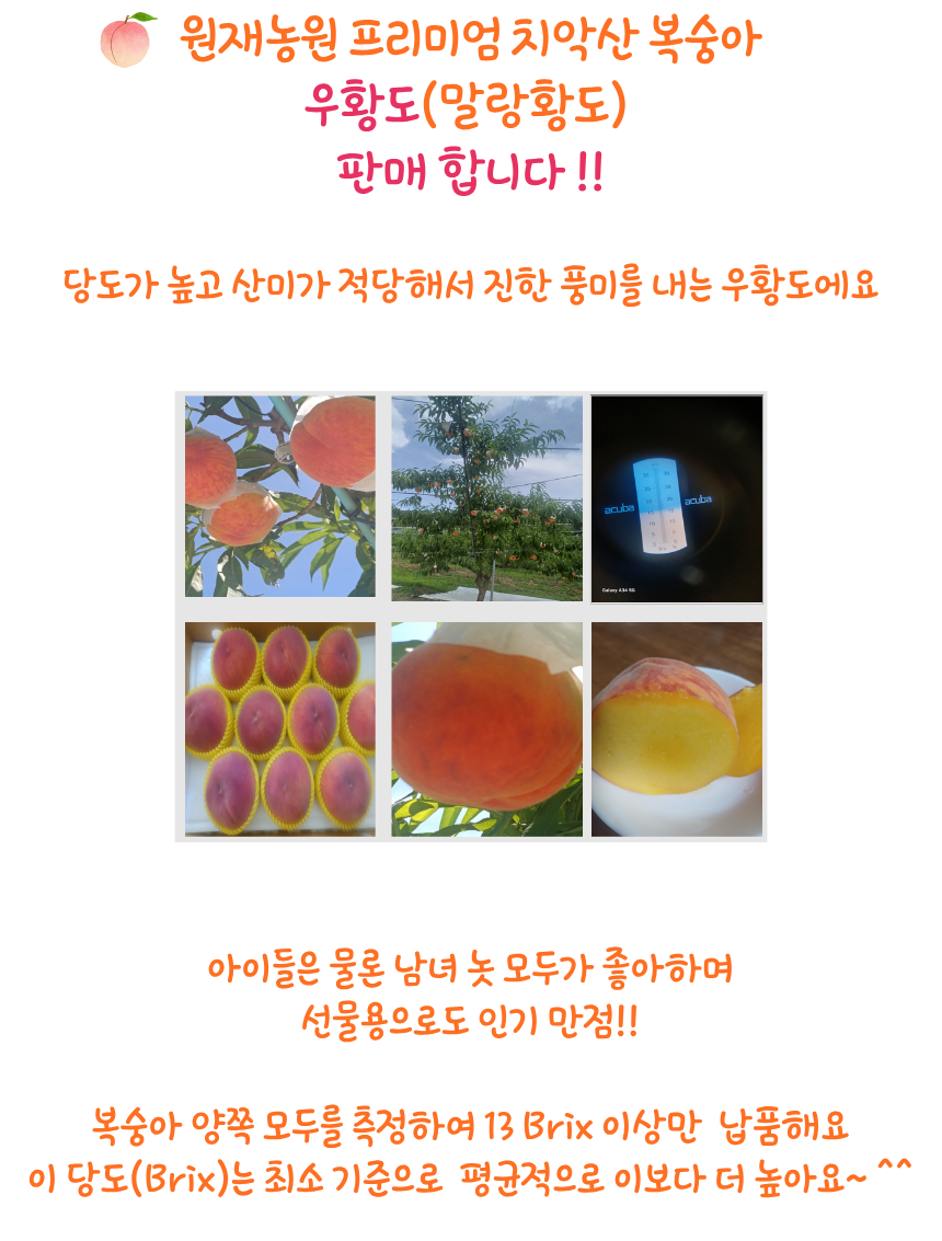 프리미엄 우황도 (말랑황도)