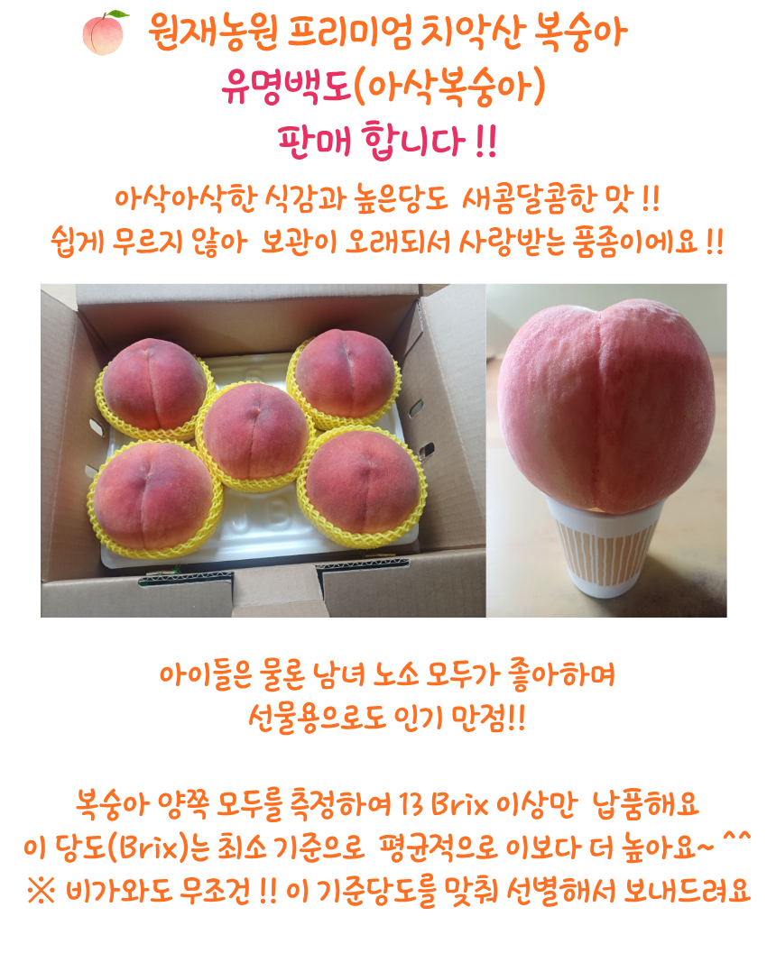 유명백도 (딱딱아삭)