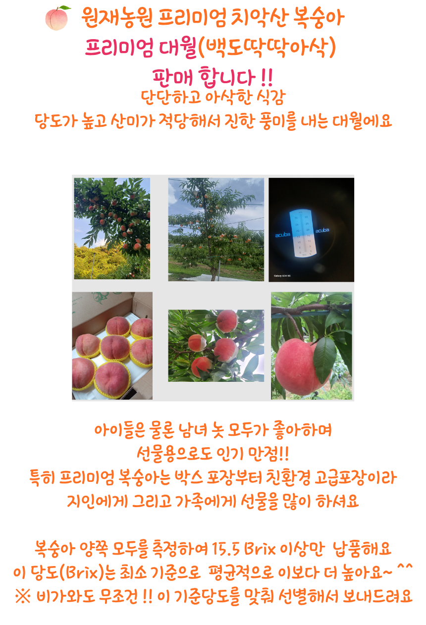 프리미엄 대월 (딱딱아삭복숭아)
