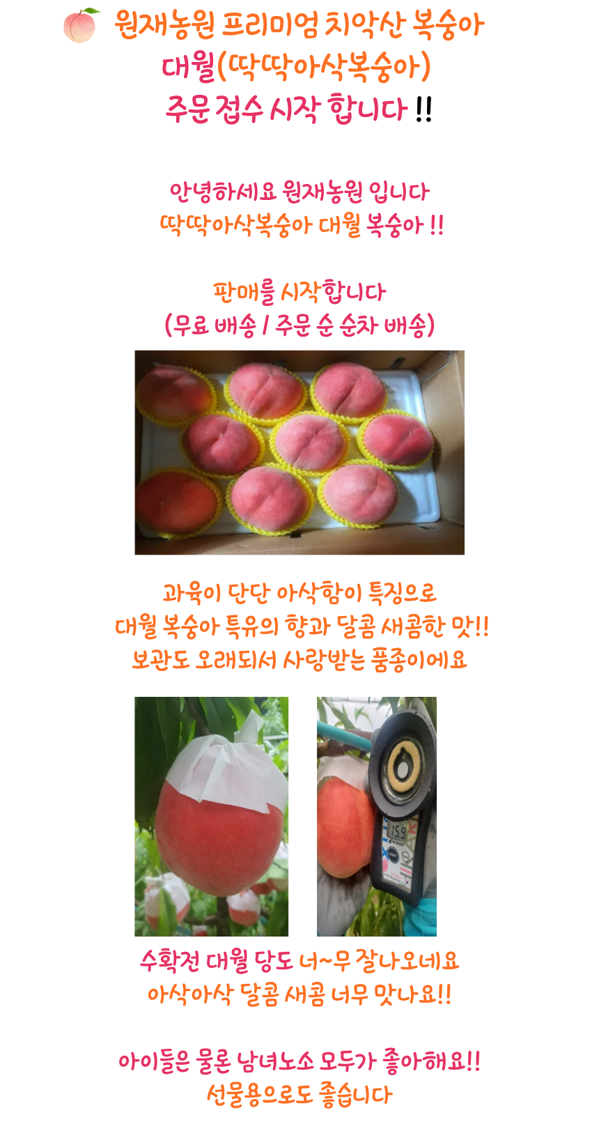 대월 (딱딱아삭복숭아)