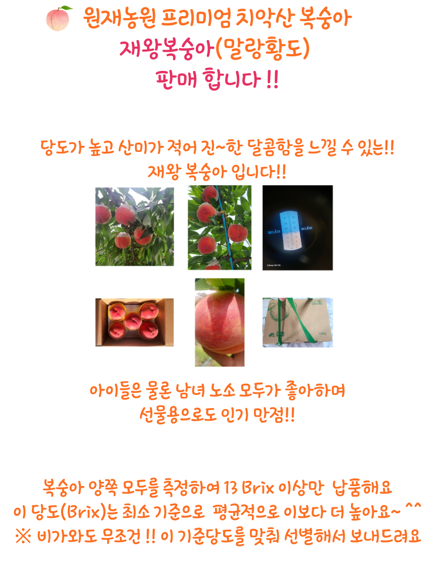 재왕복숭아 (말랑황도)