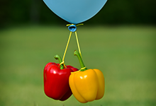 5eaa40639f602.png