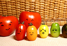 6b7b70192a757.png