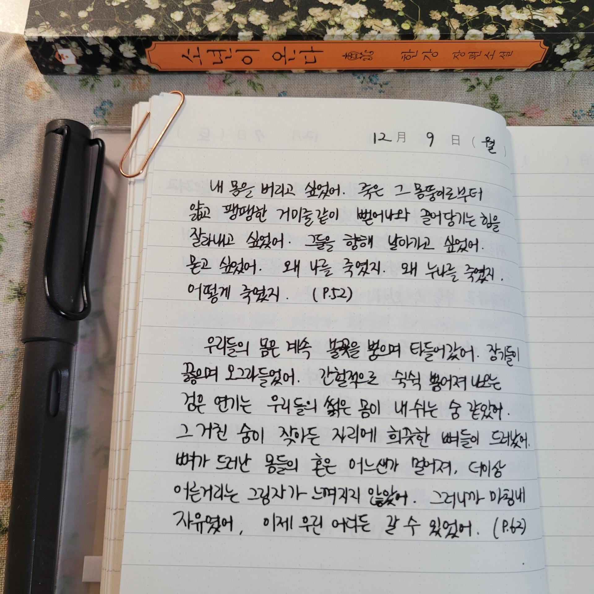 443efd3faaacb.jpg