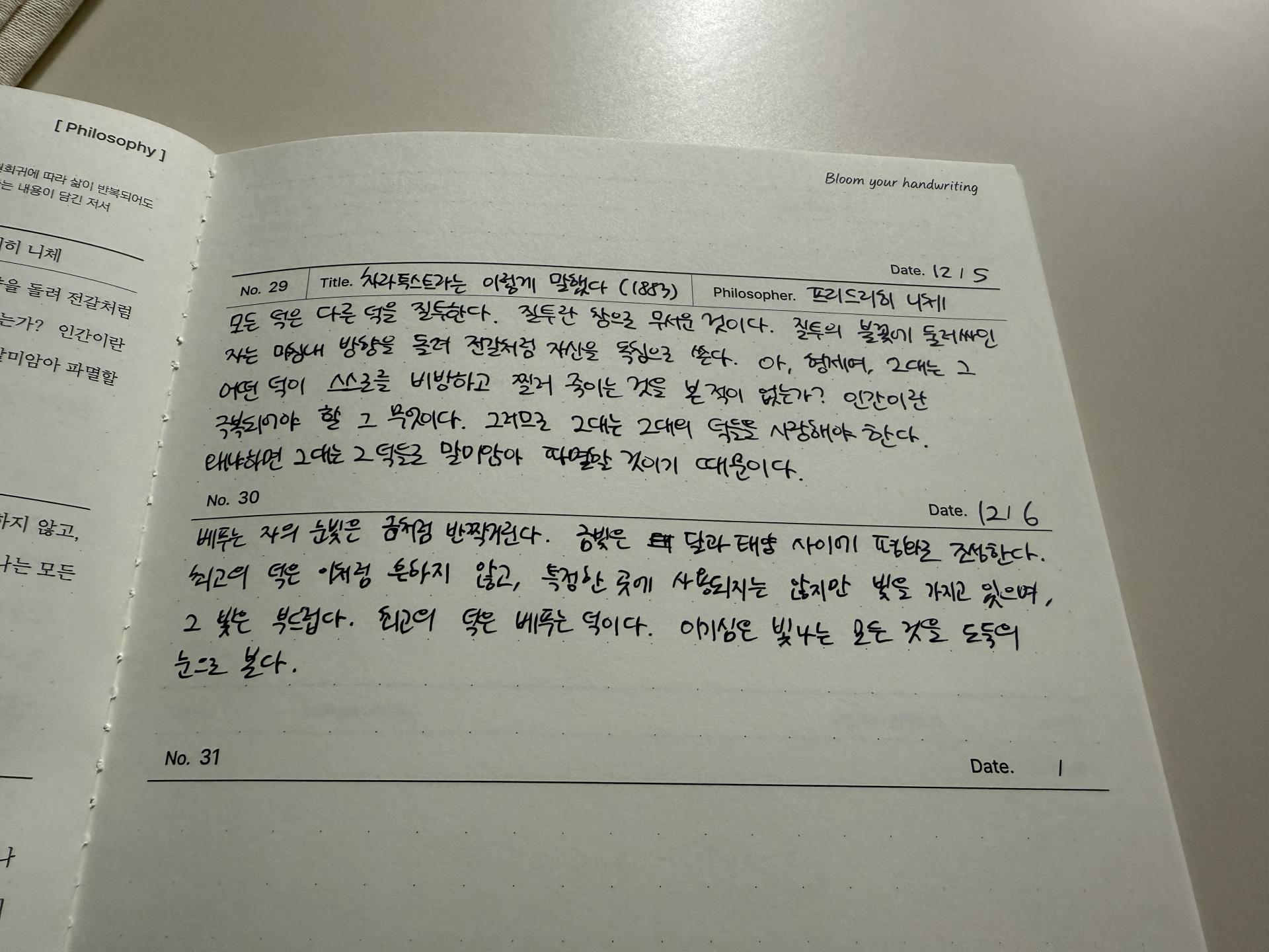 cf357041031d2.jpeg