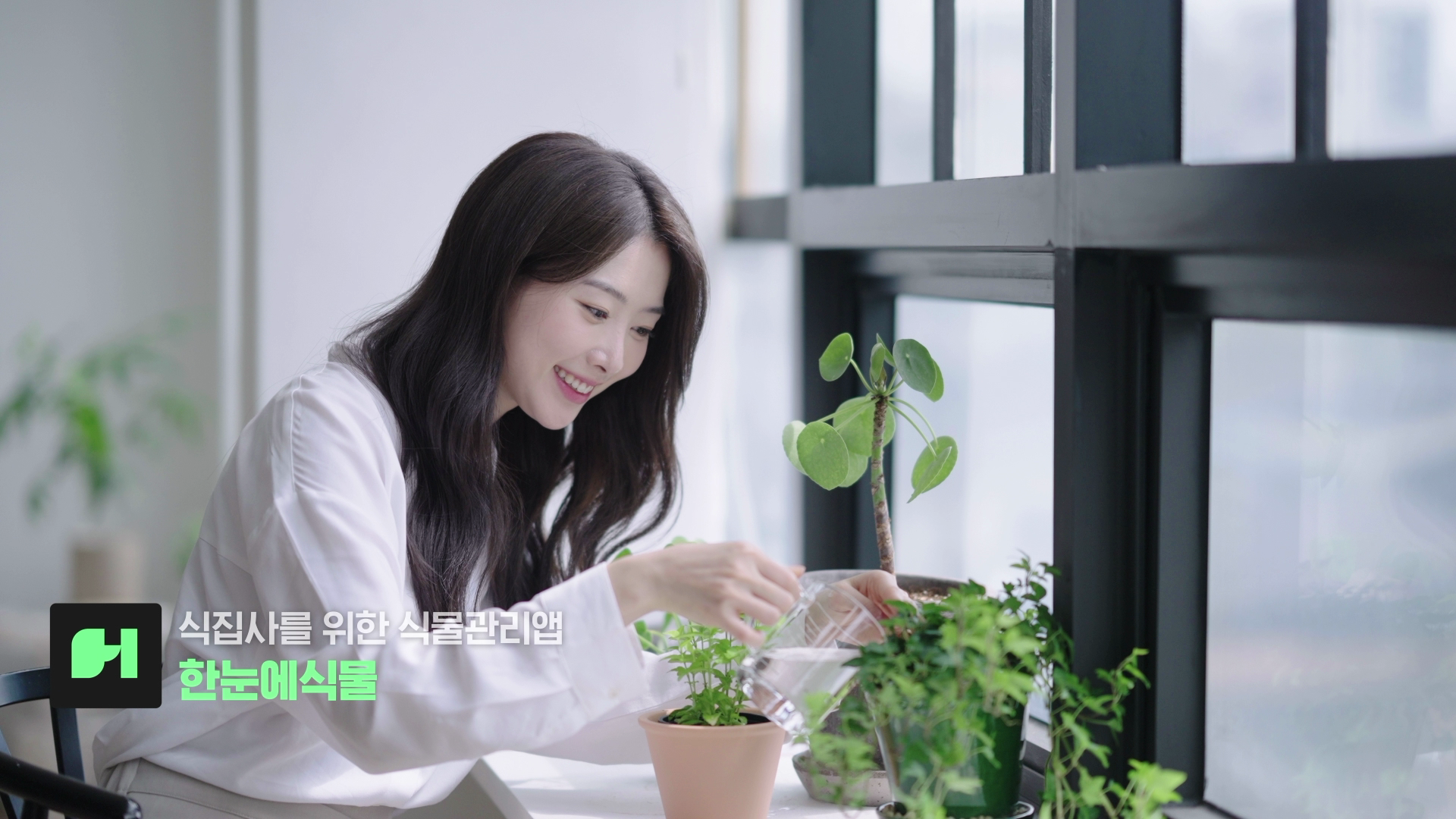 한눈에식물 장면 04