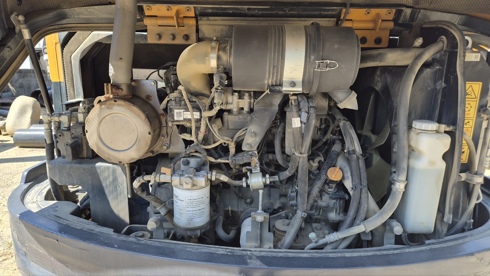 0868424ec3c65.jpg