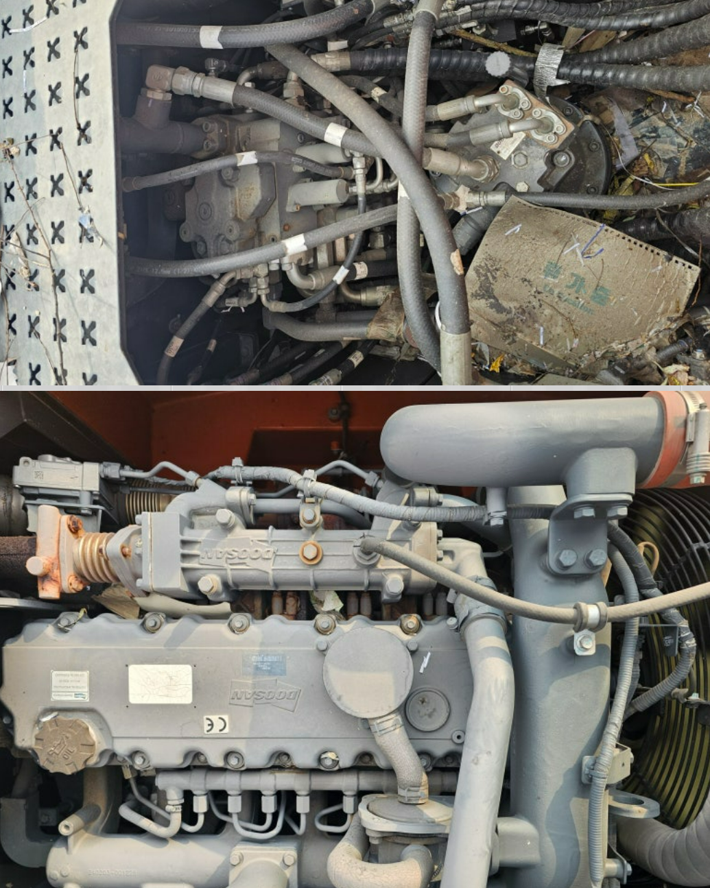 4953e42872b50.png