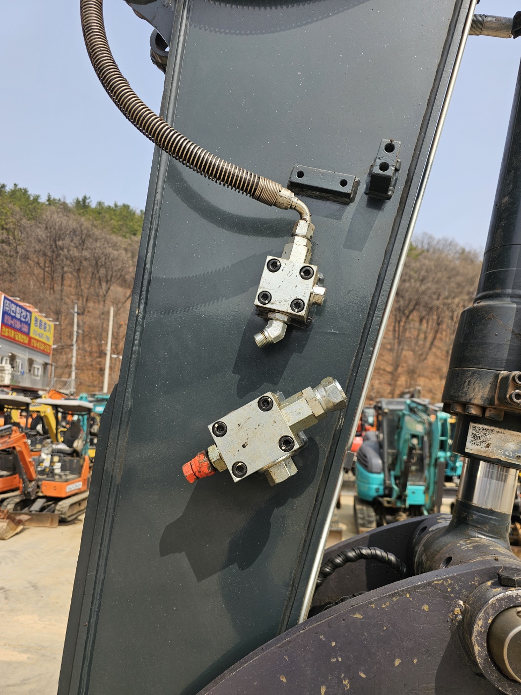 6a339cb3cc55c.jpg