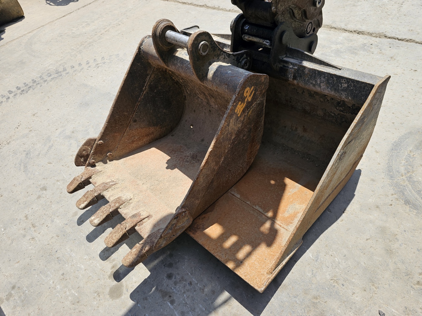8029615bf0829.jpg
