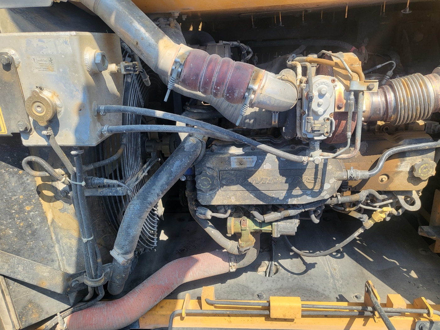 bc380a597cabf.jpg
