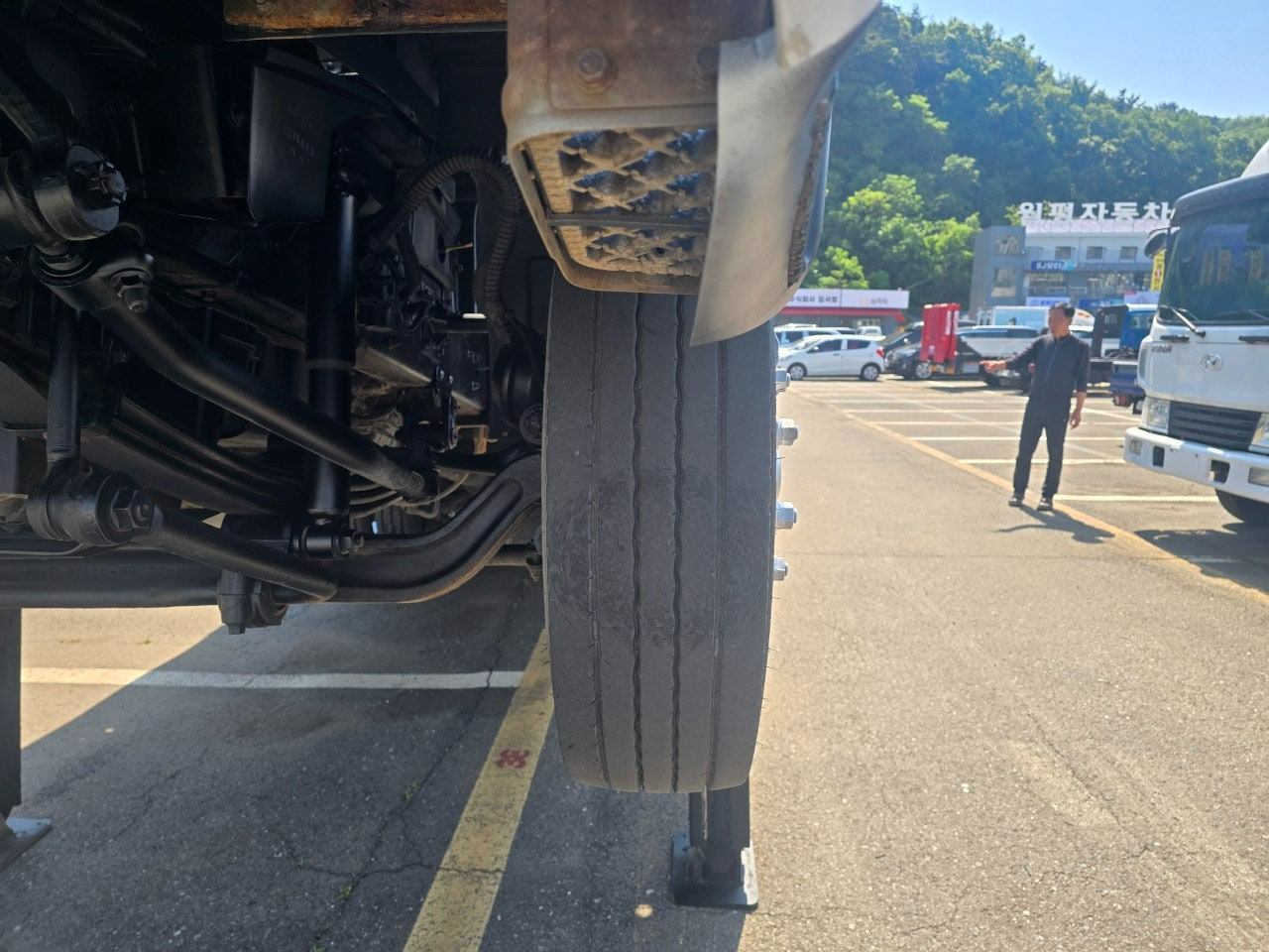 사용자가 올린 이미지