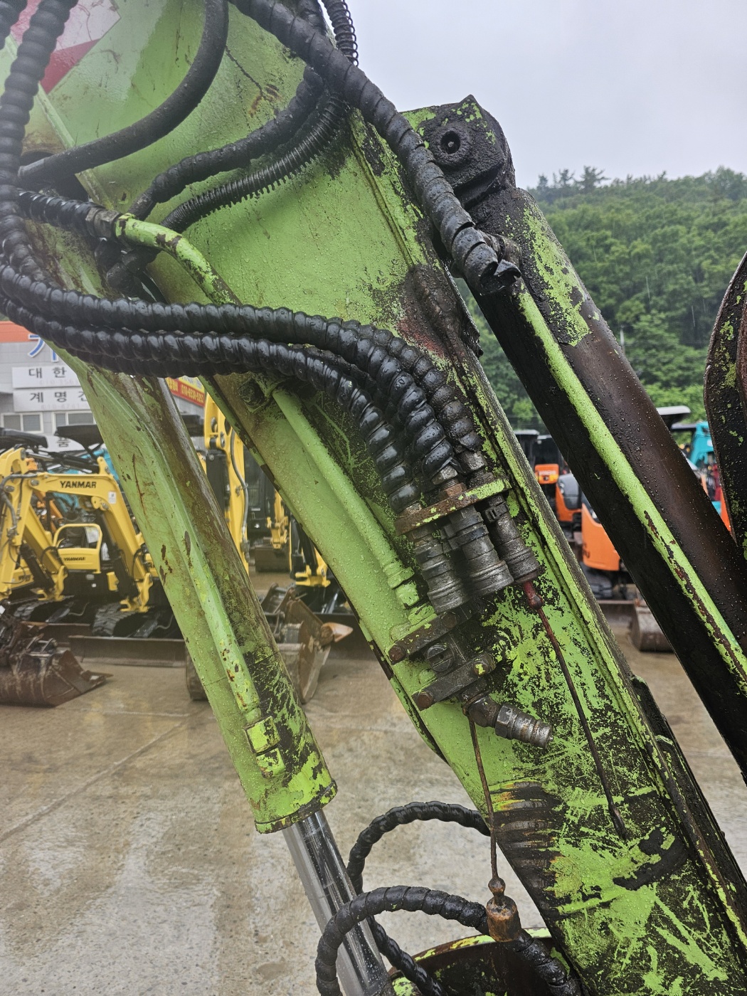 dde8806d92e55.jpg