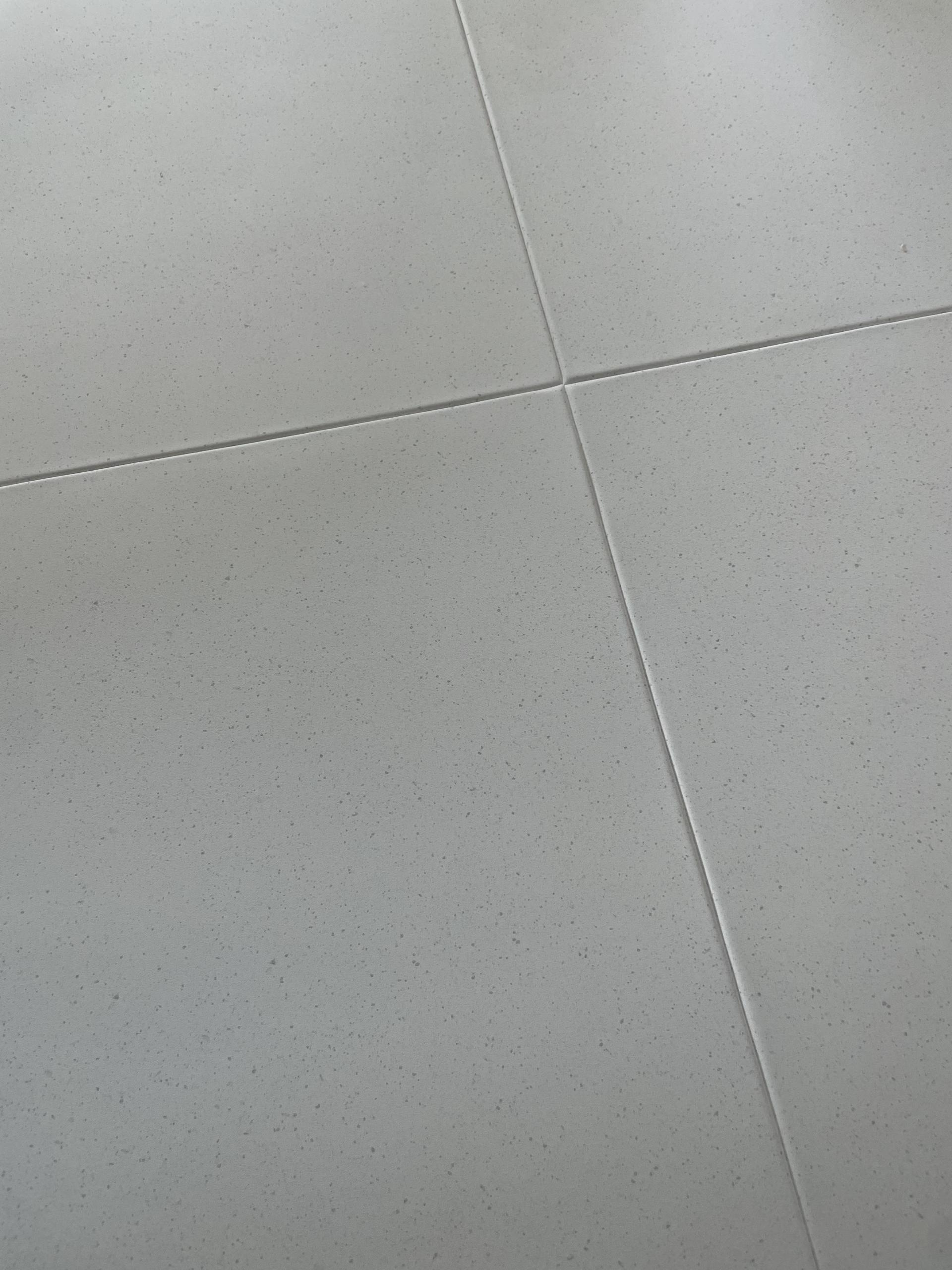 7a26a9607b750.jpg