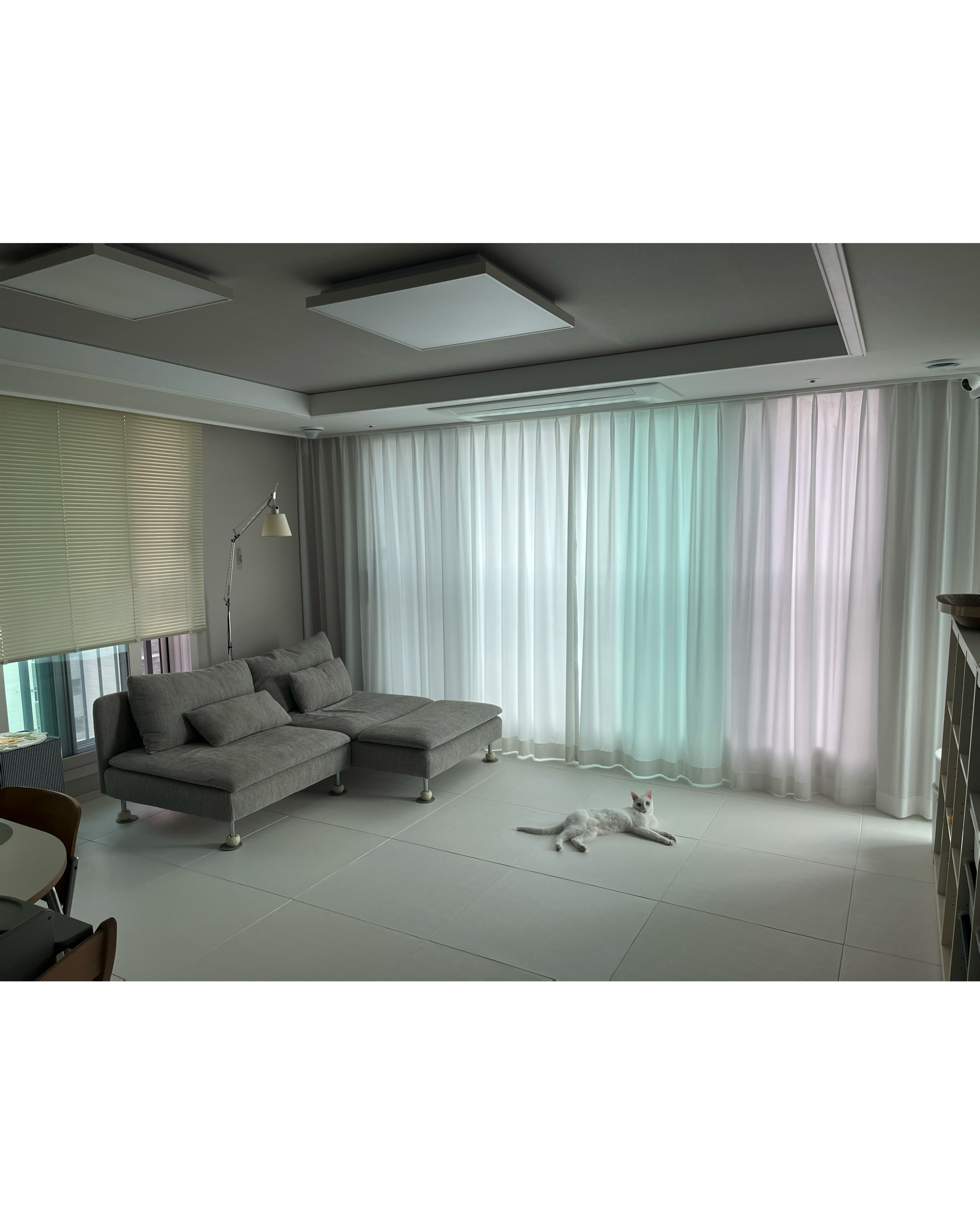 d512a4ff2d255.png