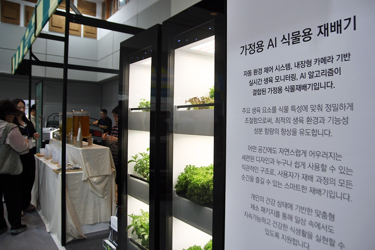 푸파제 제주 현장 ⓒ제주의소리