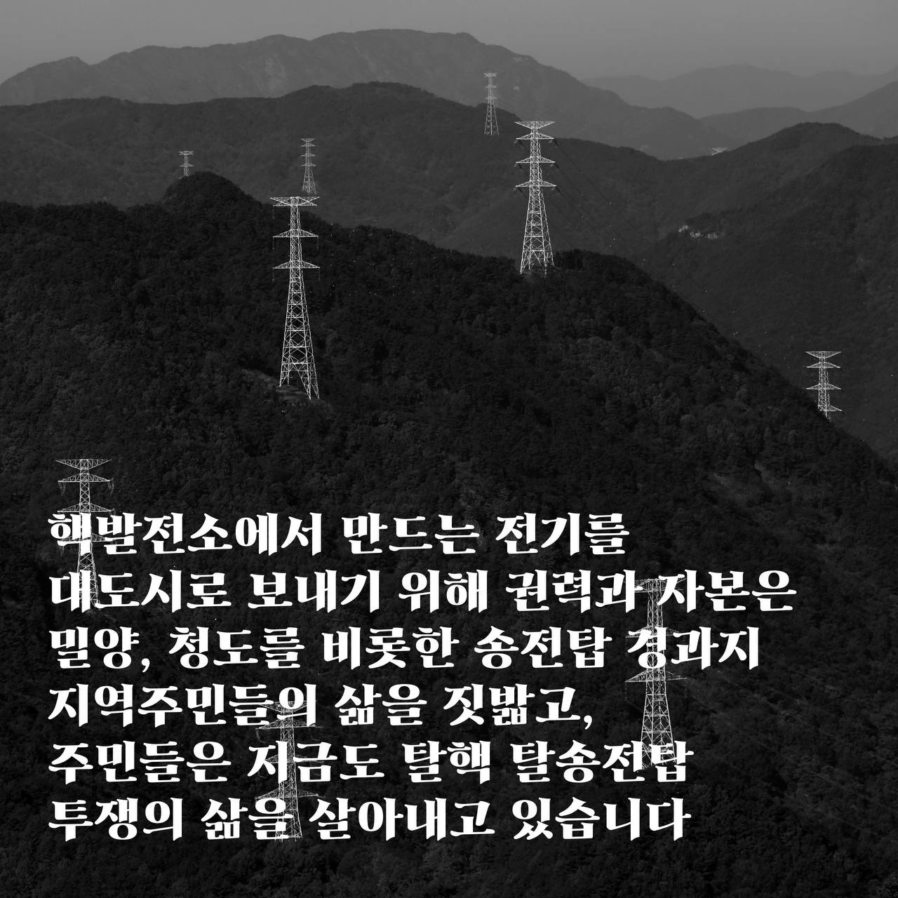 25d622fa7f0fe.jpg