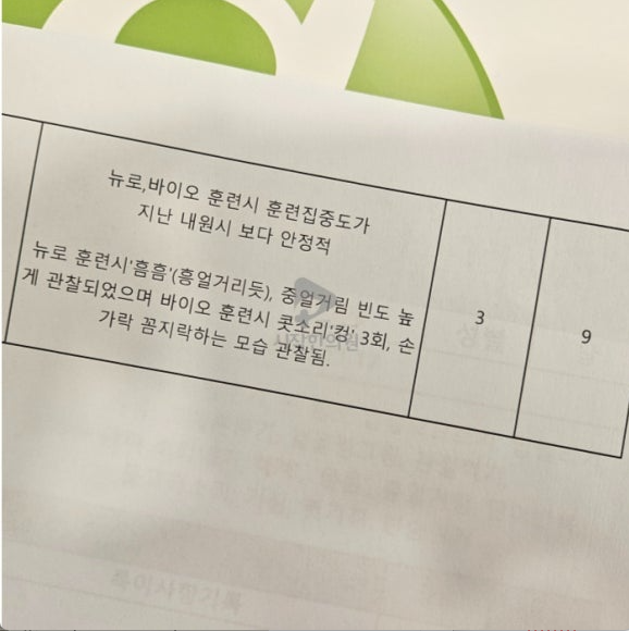e627c4913a988.png