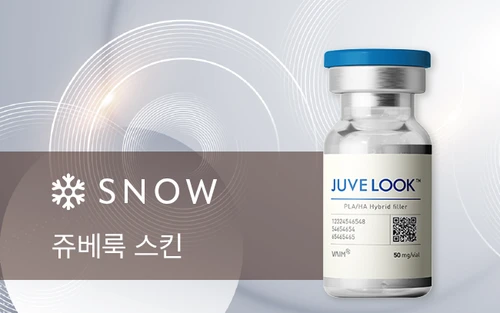 시흥배곧 쥬베룩 스킨 안내