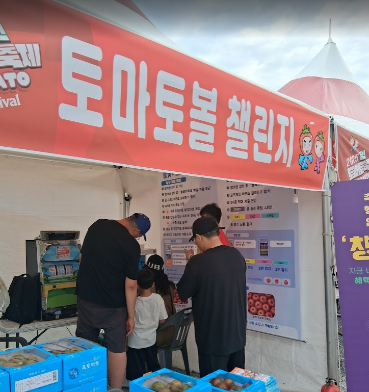 토마토볼 챌린지