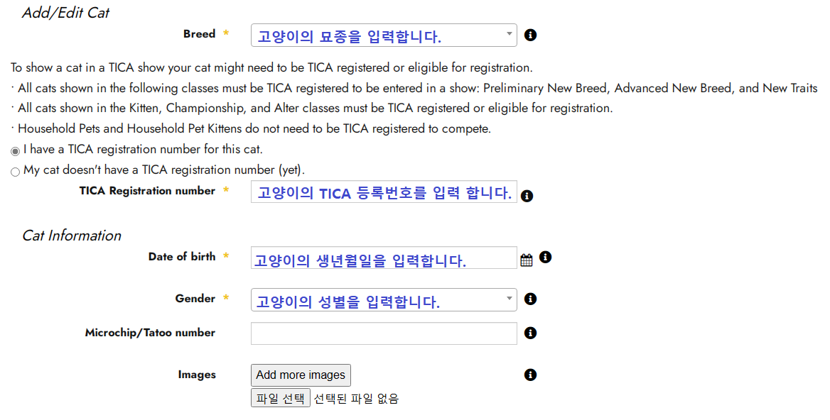 Toes the online entry system 