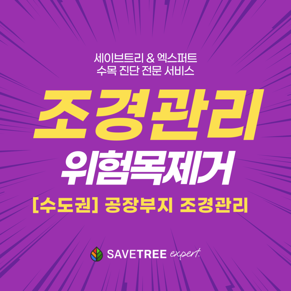 조경관리 위험목제거 대표이미지