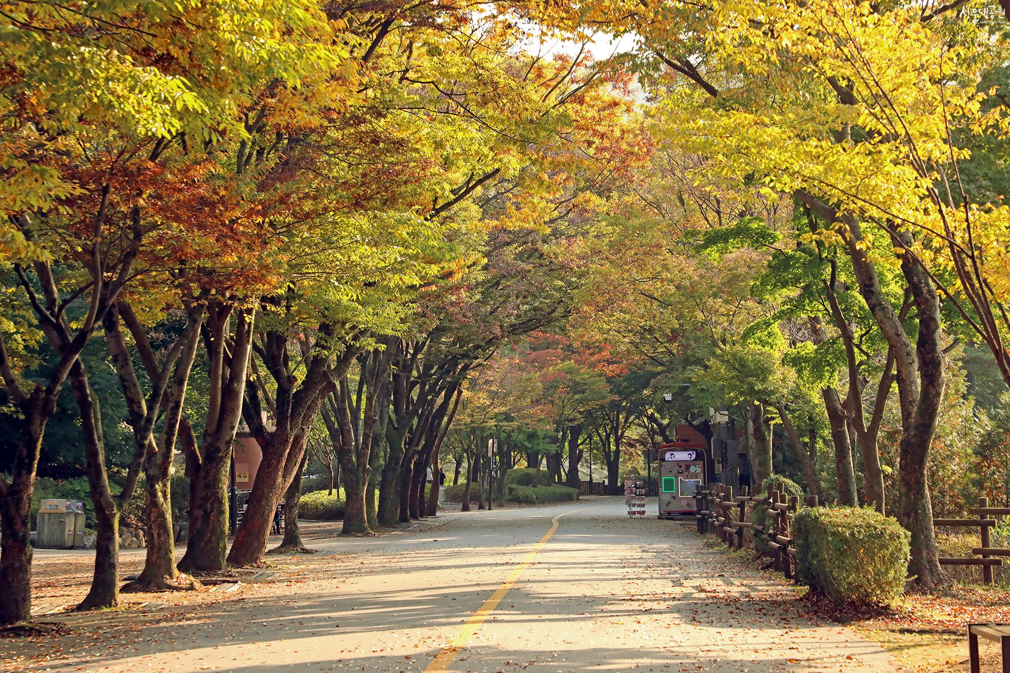 트리맵