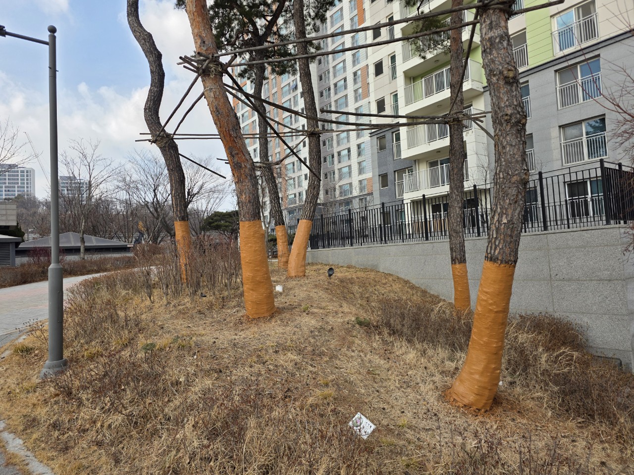 3d0b316dd9324.jpg