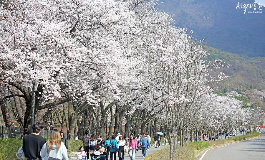 트리맵