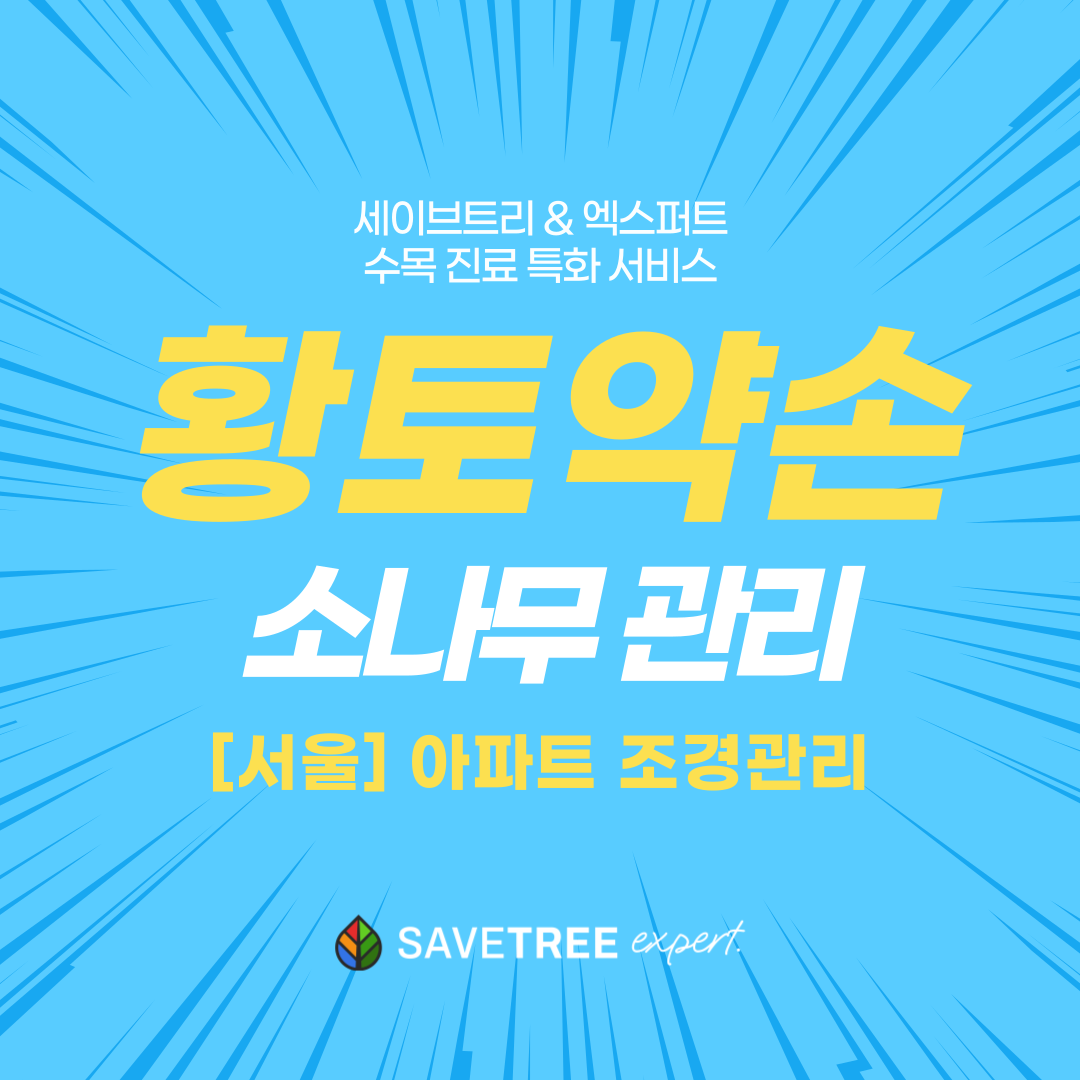 92ba63999f298.png