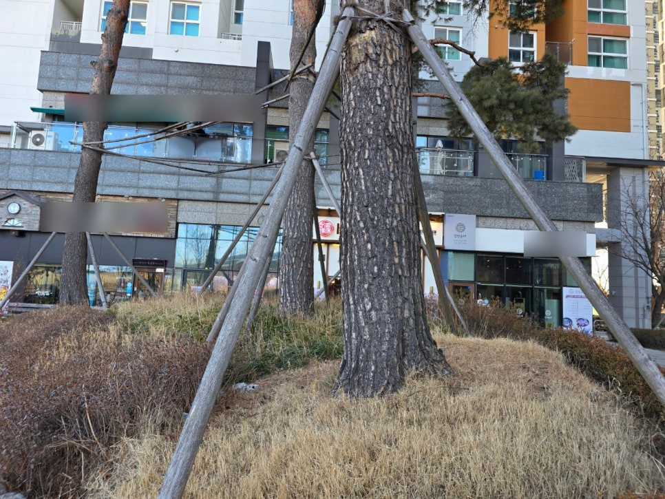 b139cd460ec71.png