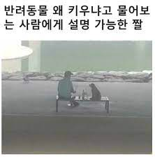 798df59ed1427.png