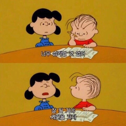 c5519364c1e9d.png