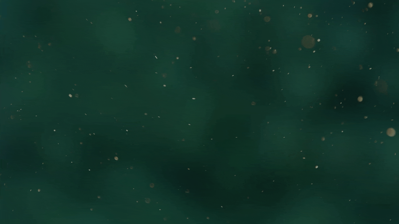 b869c33f6d4ce.gif