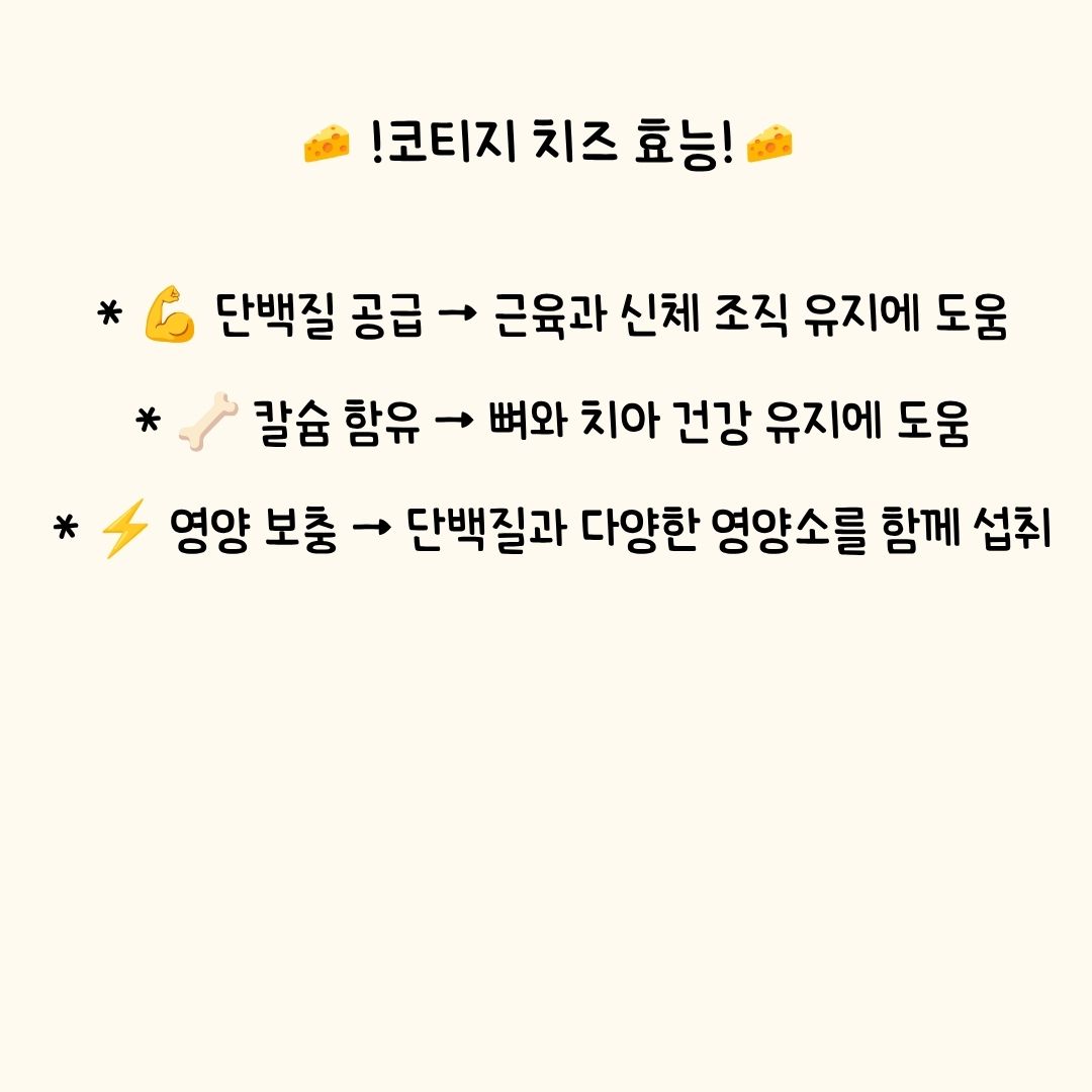 쫀득 치즈볼 60~65g