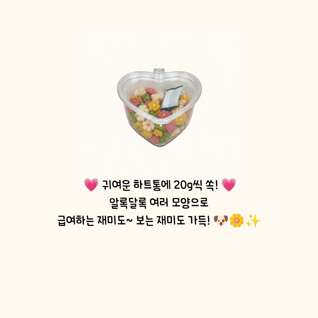 냠냠 쿠키