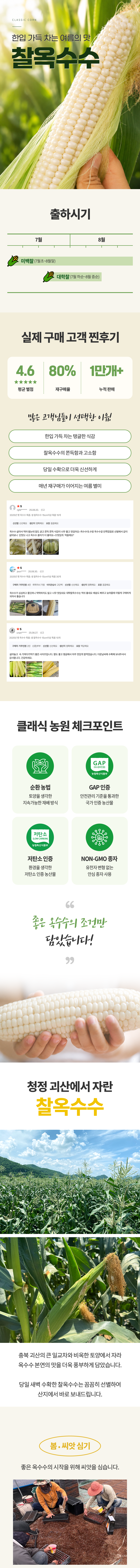 [🔥이번주 한정🔥] 새벽수확 산지직송 괴산 찰·초당옥수수 특가 + 무료배송진행(7월 발송)
