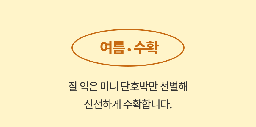 국내산 미니 단호박 2kg 3kg 5kg [원산지:국산(충청북도 괴산군)]
